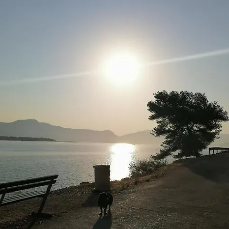 Barnjak Lejlighed *